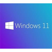 Ms Wındows 11 Pro 64 Bıt Turkce Oem Fqc-10556 