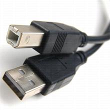 Dark Dk-Cb-Usb2Prnl300 Usb 2.0 3Mt Yazıcı Ve Data Kablosu 