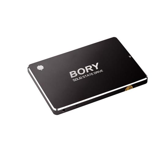 1 Tb Bory Sata3 R500-C1T Ssd 550/510 Mbs (3 Yıl Garantili) 