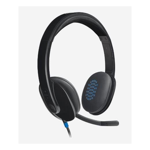 Logıtech H540 Usb Siyah Kulaklık 981-000480 
